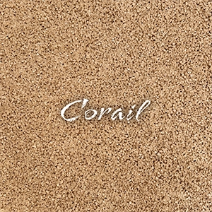 TEINTES-300x300-CORAIL_texte