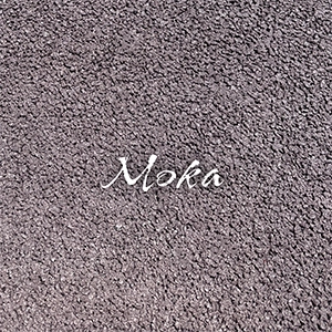 TEINTES-300x300-MOKA_texte